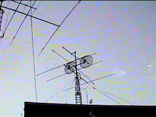 dish1