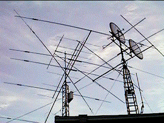 dish2