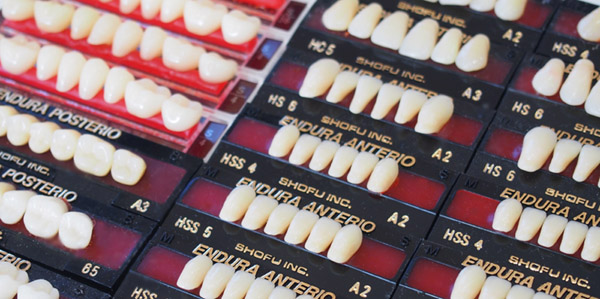 入れ歯に使う人工の歯、硬質レジンの歯・東京都港区麻布十番・白宝デンタルクリニック