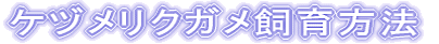 �P�d�����N�K��������@
