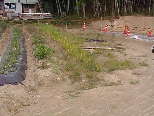 Pic10001.jpg