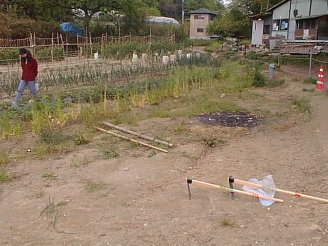 Pic11001.jpg