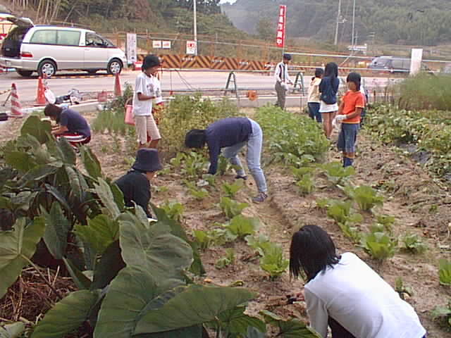Pic90002.jpg