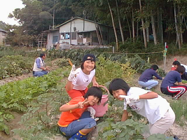 Pic90003.jpg
