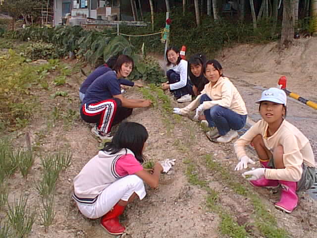 Pic90005.jpg