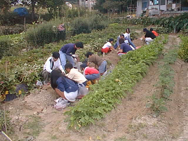 Pic90006.jpg