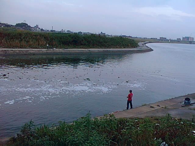 film47.jpg
