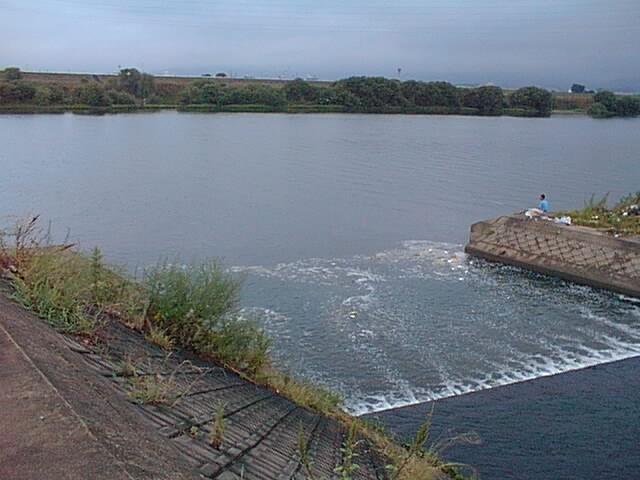 film48.jpg
