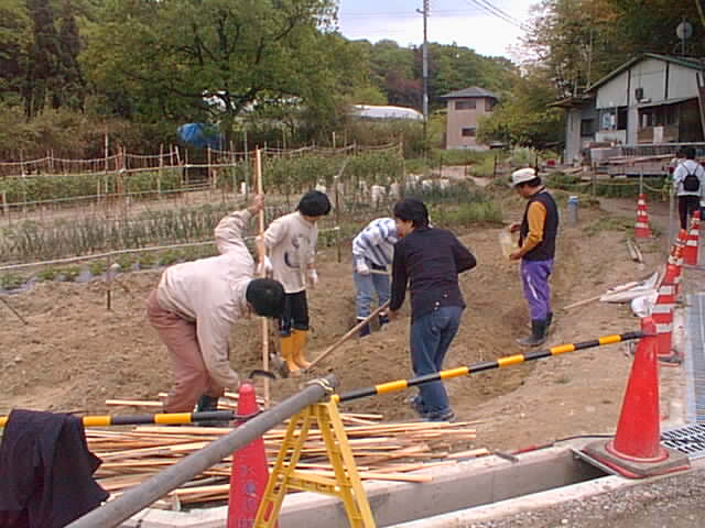 ki 10001.jpg