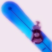SNOWBOARDS