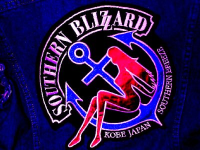 EMBLEM DESIGN SOUTHERN BLIZZARD 1993