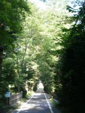 C:\Users\s-nakajima\Pictures\2010-09-01\P9010218.JPG