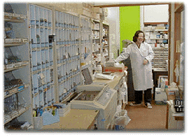 ������ǁQ�X�ܓ�