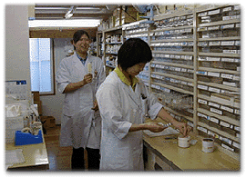 �O���[����ǁQ�X�ܓ�