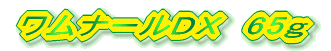 �����i�[��DX�@65��