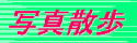 �ʐ^�U��